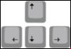 teclas cursor
